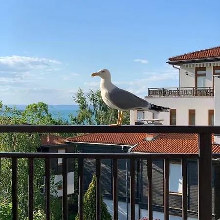 Apartment Santa Marina Sea Vew *